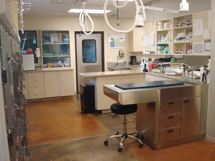 Capital Veterinary Clinic 10