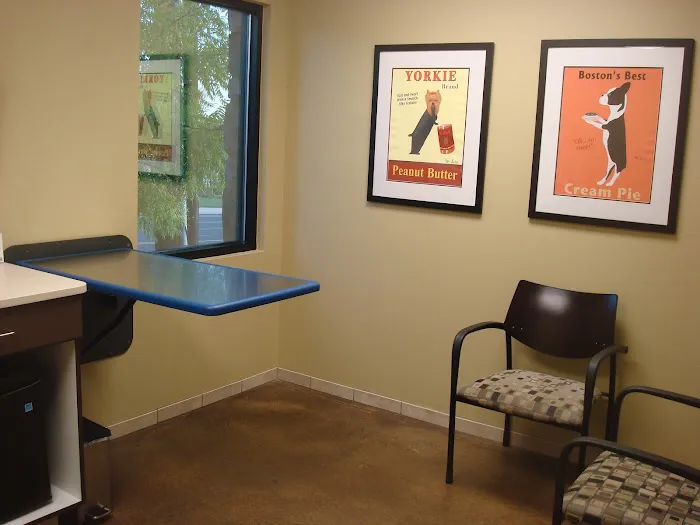 Capital Veterinary Clinic 9