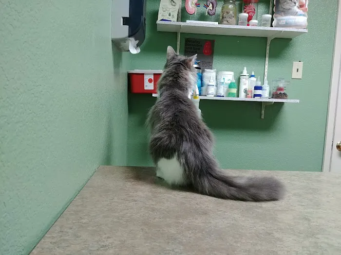 Pet and Bird Clinic 7