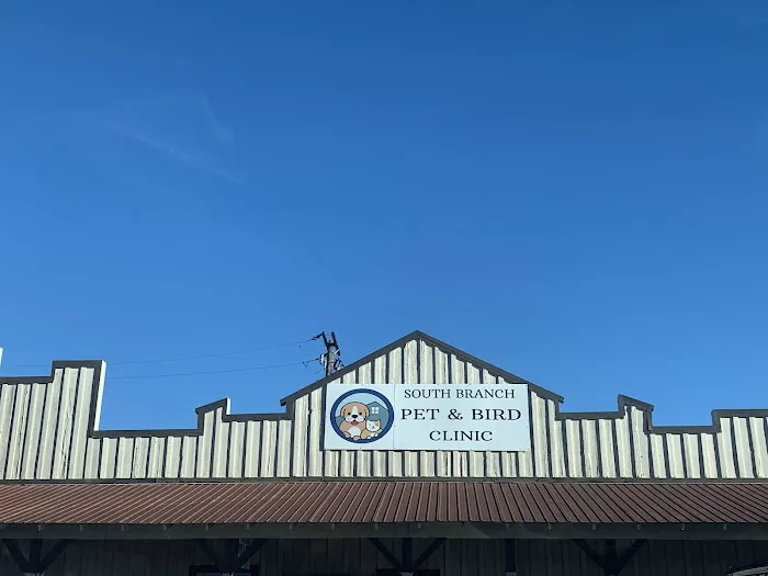 Pet and Bird Clinic 10