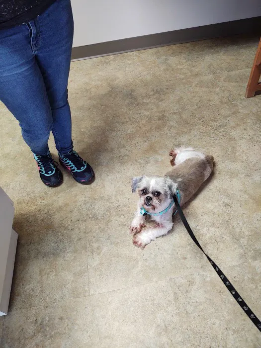 Riverside Veterinary Hospital 12