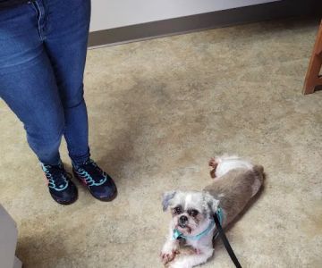 Riverside Veterinary Hospital