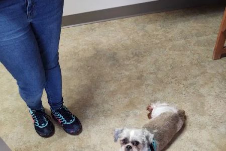 Riverside Veterinary Hospital