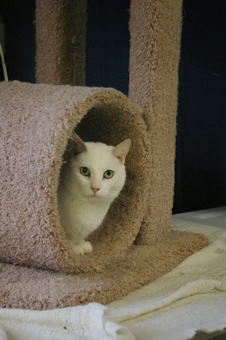 Riverside Veterinary Hospital 12