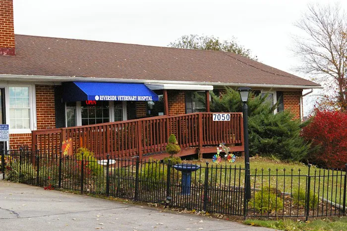Riverside Veterinary Hospital 12