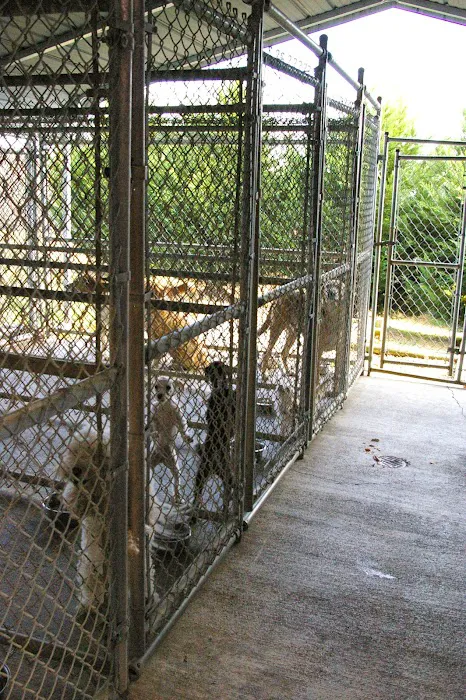 Riverside Veterinary Hospital 12