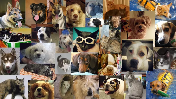 Riverside Veterinary Hospital 12
