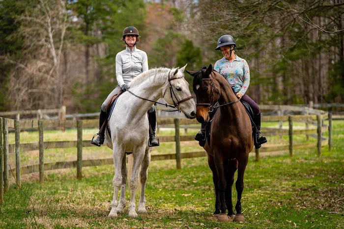 Tillotson Equine Internal Medicine Mobile Services 12
