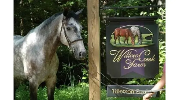 Tillotson Equine Internal Medicine Mobile Services 12