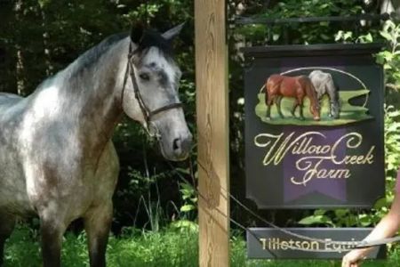 Tillotson Equine Internal Medicine Mobile Services