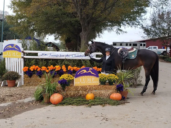 Tillotson Equine Internal Medicine Mobile Services 12