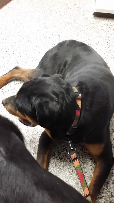 Woodsdale Animal Hospital 1