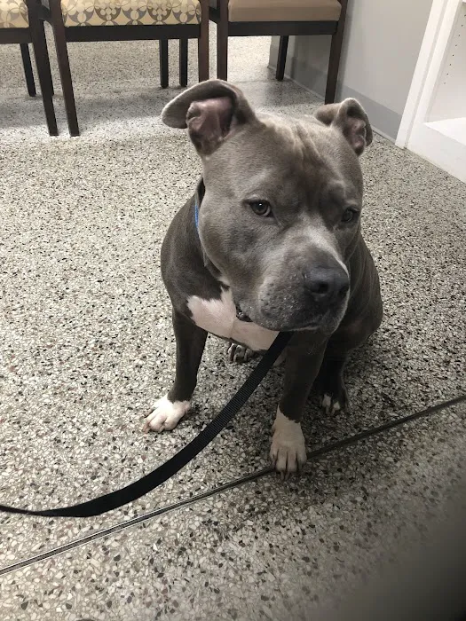 Woodsdale Animal Hospital 9