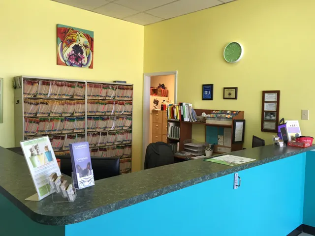 Animal Medical Clinic of South Boston 4