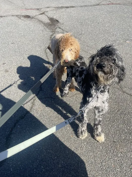 Animal Medical Clinic of South Boston 6