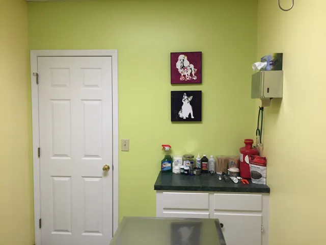 Animal Medical Clinic of South Boston 10
