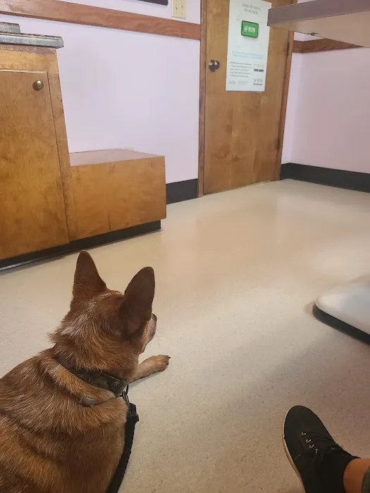 Halifax County Veterinary Center 12