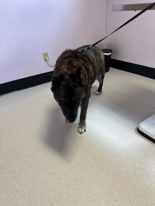 Halifax County Veterinary Center 12