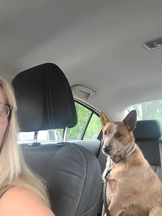 Halifax County Veterinary Center 12