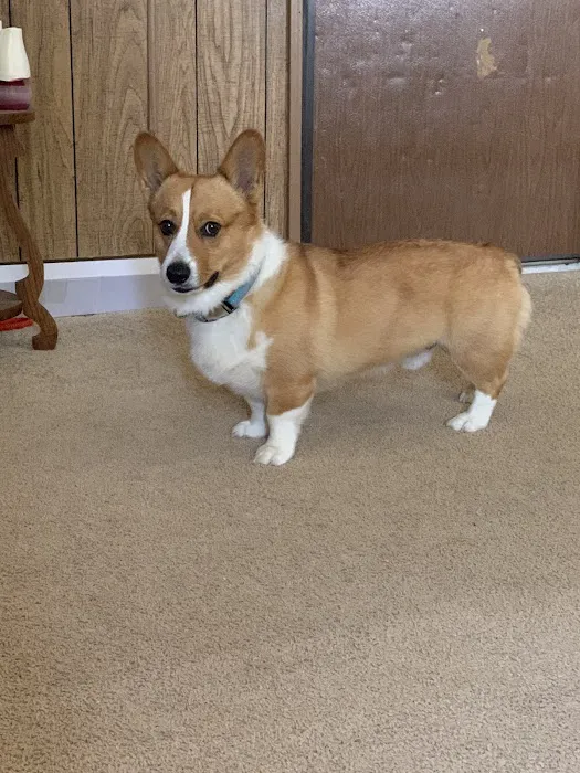 Halifax County Veterinary Center 12
