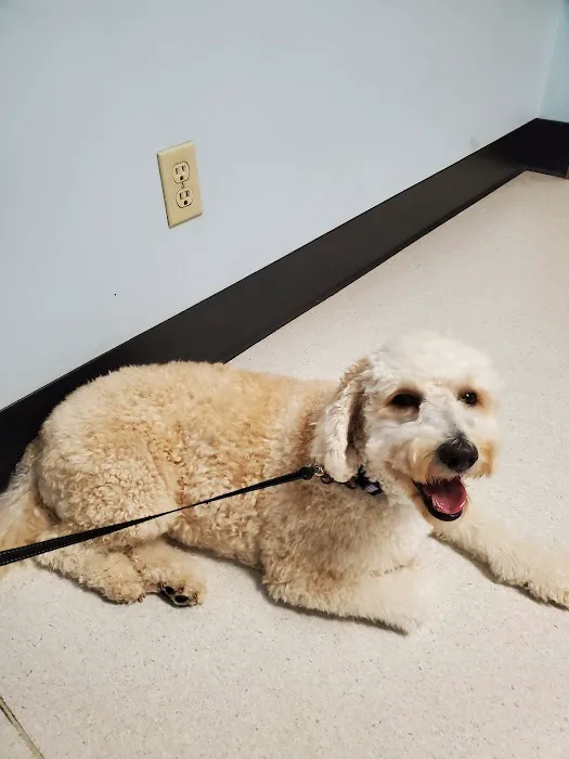 Halifax County Veterinary Center 12