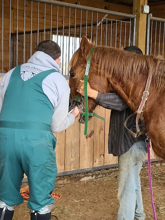 Halifax County Veterinary Center 12