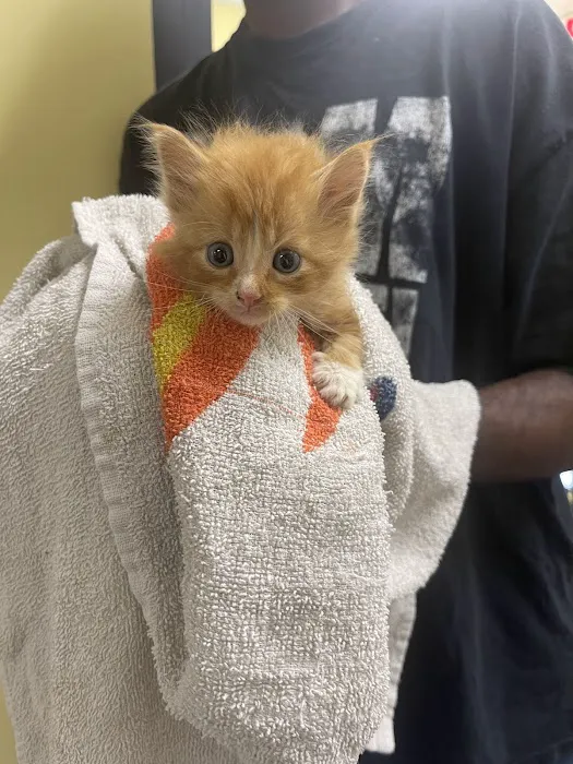 Roxboro Animal Hospital 12