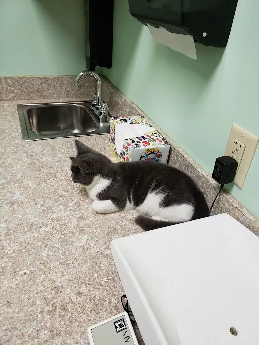 Roxboro Animal Hospital 12