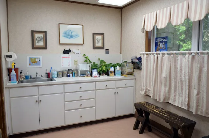 Altavista Animal Hospital 12