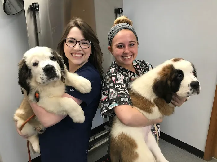 Ridgewood Animal Hospital 2