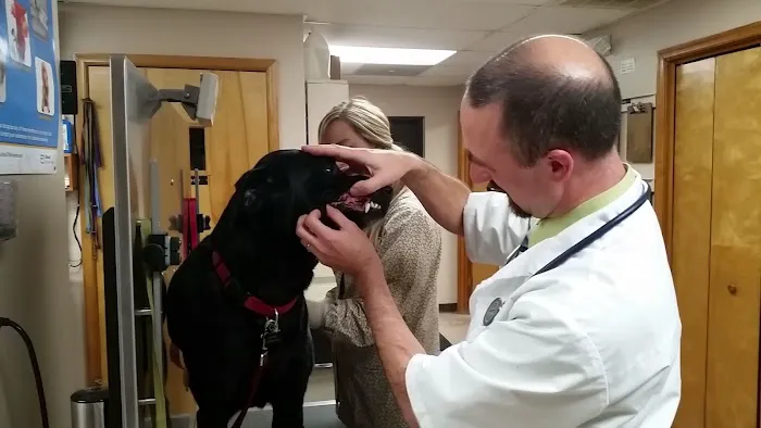 Ridgewood Animal Hospital 1