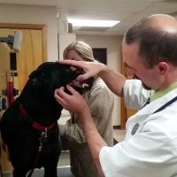 Ridgewood Animal Hospital ico