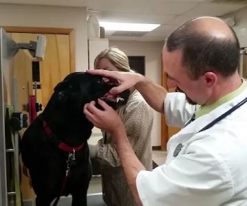 Ridgewood Animal Hospital