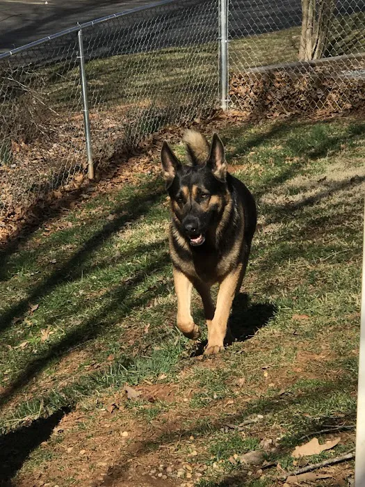 Ridgewood Animal Hospital 7