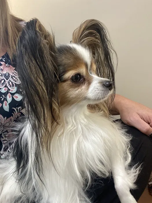 Ridgewood Animal Hospital 9