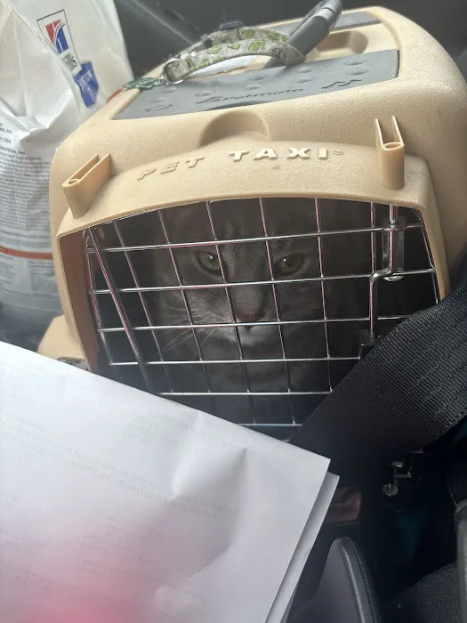 Gentle Care Animal Hospital 10