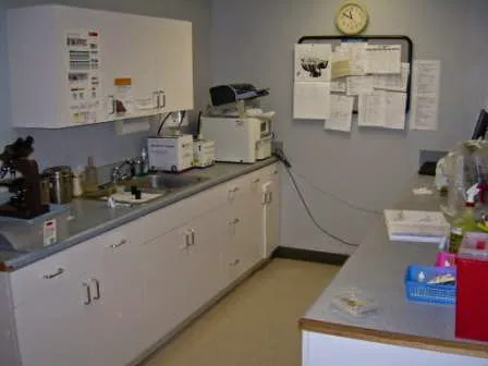 Seven Hills Pet Wellness Center & Preventive Care 2