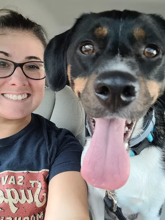 Seven Hills Pet Wellness Center & Preventive Care 8