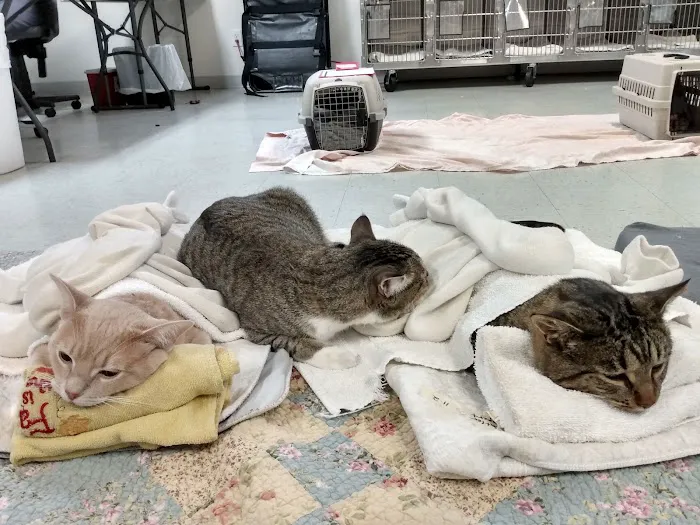 South Central Spay Neuter Clinic a part of Lynchburg Humane Society 1
