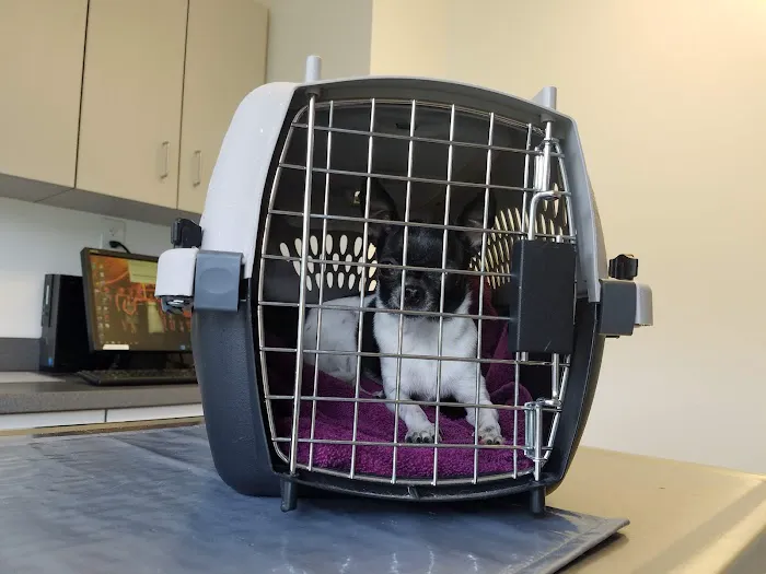 Lake Forest Animal Hospital: Holley Angela E DVM 1
