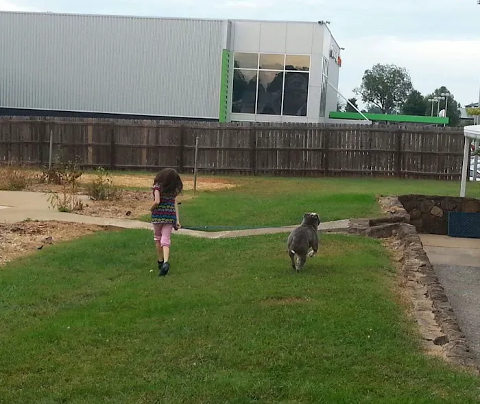 Lake Forest Animal Hospital 12