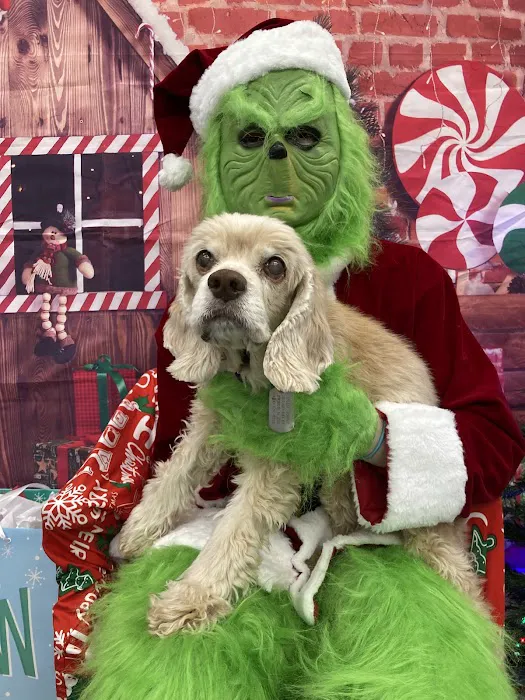 Lake Forest Animal Hospital 12