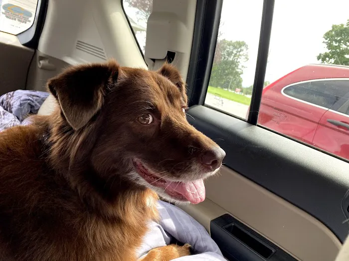 Lake Forest Animal Hospital 12