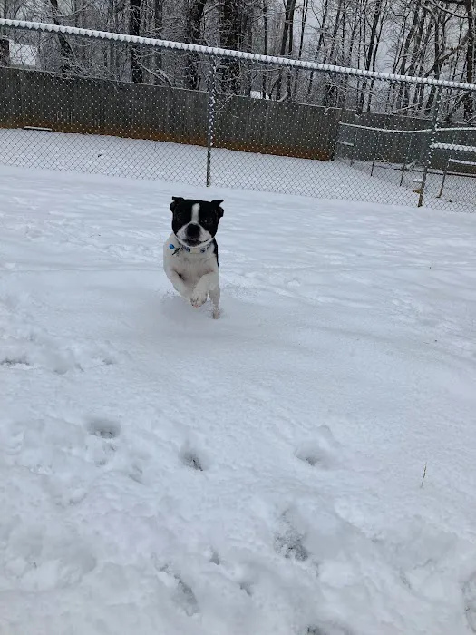 Lake Forest Animal Hospital 12