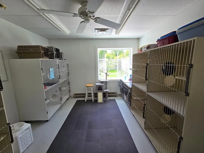 VCA Boonsboro Animal Hospital 2