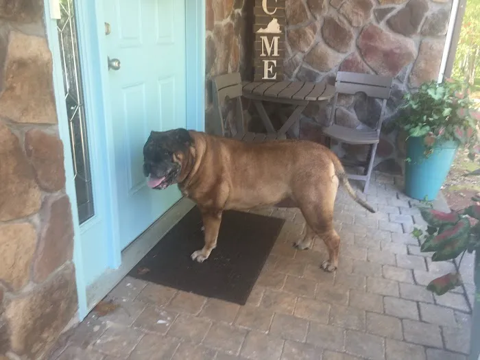 VCA Boonsboro Animal Hospital 6