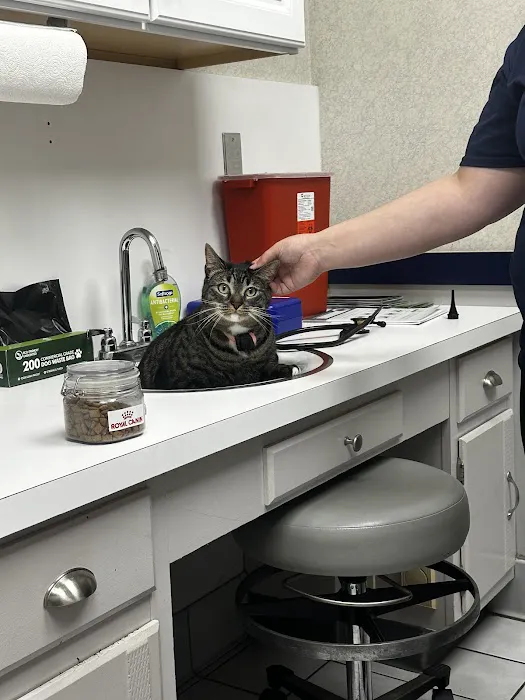 VCA Boonsboro Animal Hospital 5
