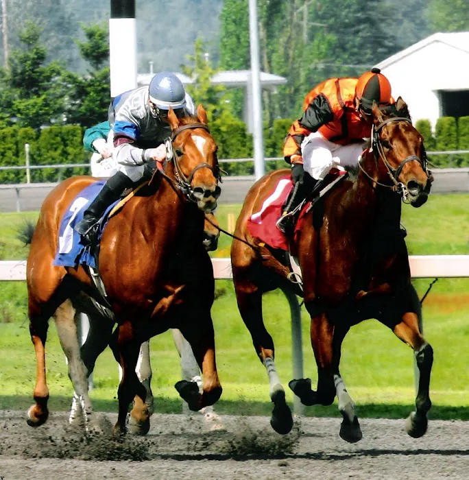 Oakhurst Equine Veterinary Services 6