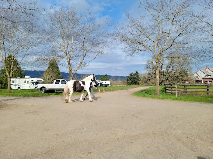 Oakhurst Equine Veterinary Services 1