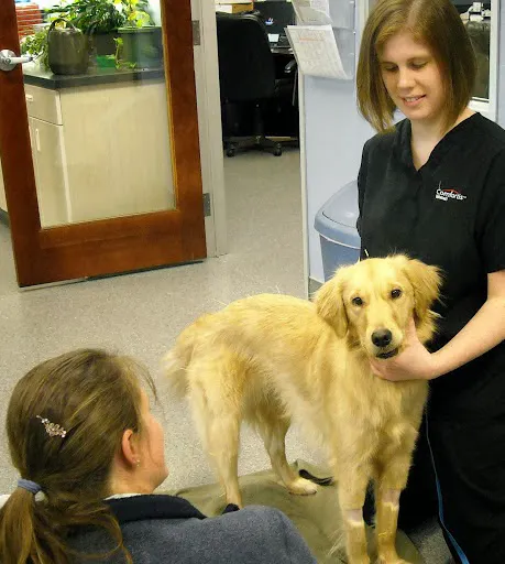 Orchard View Veterinary Center 12